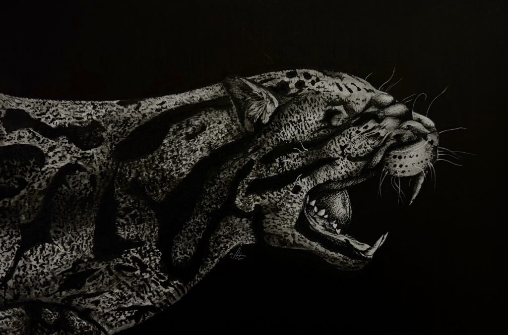 leopard